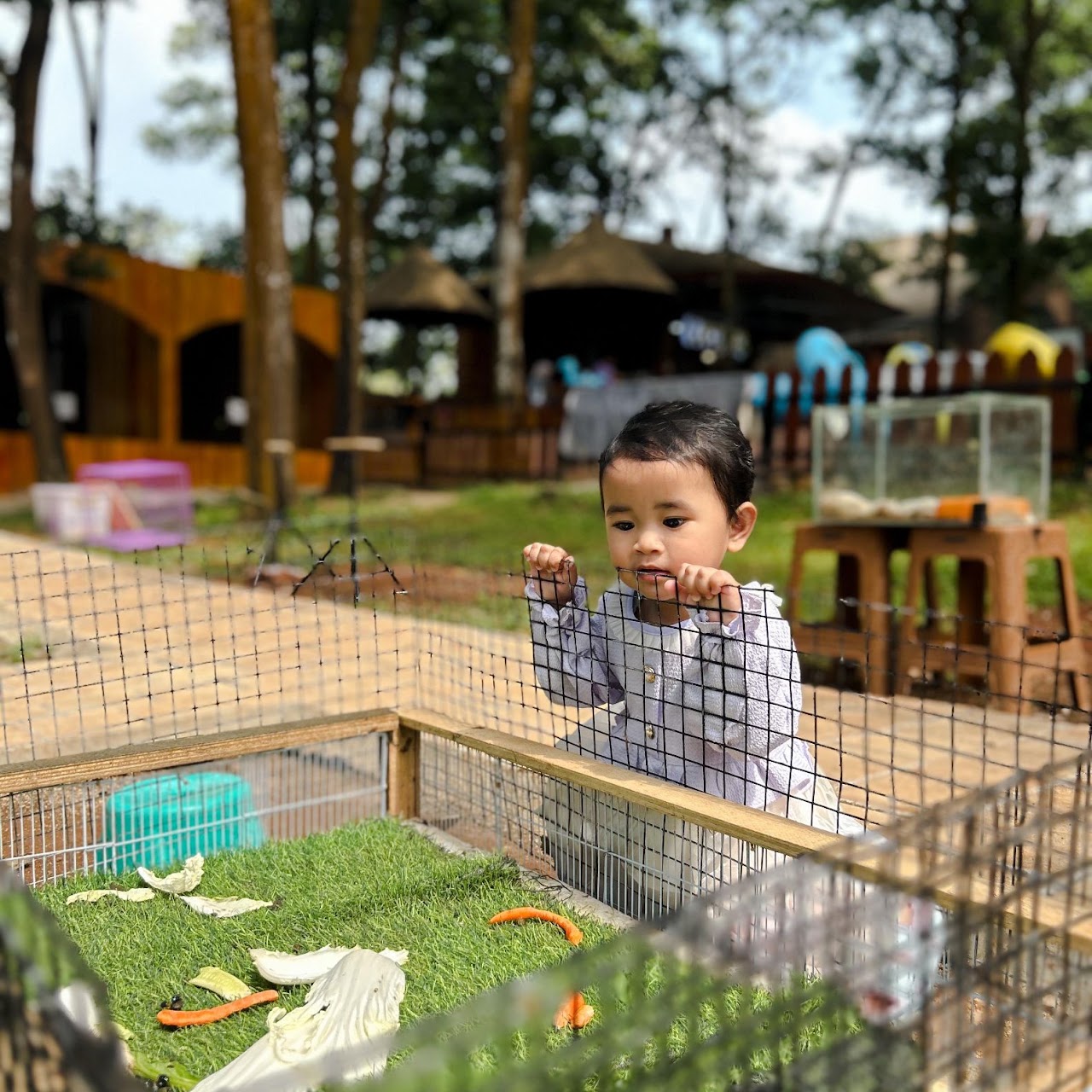 Nimo Zoo — galeri 3