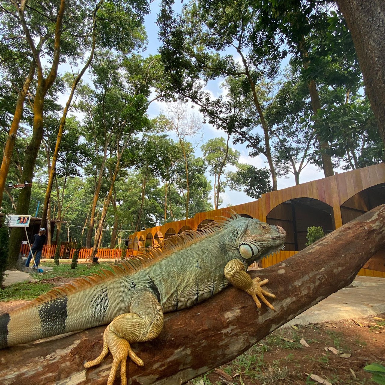 Nimo Zoo — foto 6